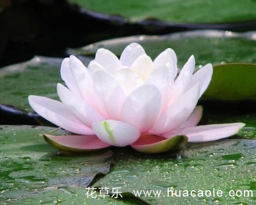 DXOMARK镜头——精品一线二线三线区别在哪破解，权威评测，解锁摄影新境界