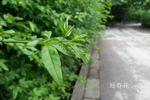 徕卡镜头无限远蜜臀aⅴ色欲a片无码婷婷，探索光学艺术的无尽边界